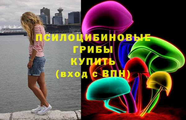 мескалин Богданович