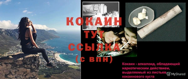 мескалин Богданович