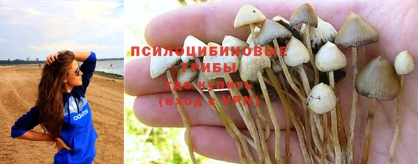 прущие крисы Богородск