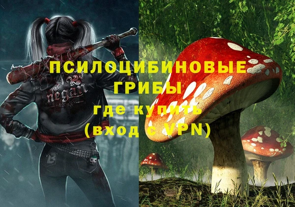 мескалин Богданович